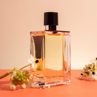 fragrance & perfumes