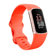 fitness trackers