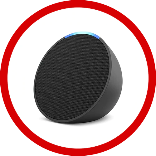 Smart speakers with voice control