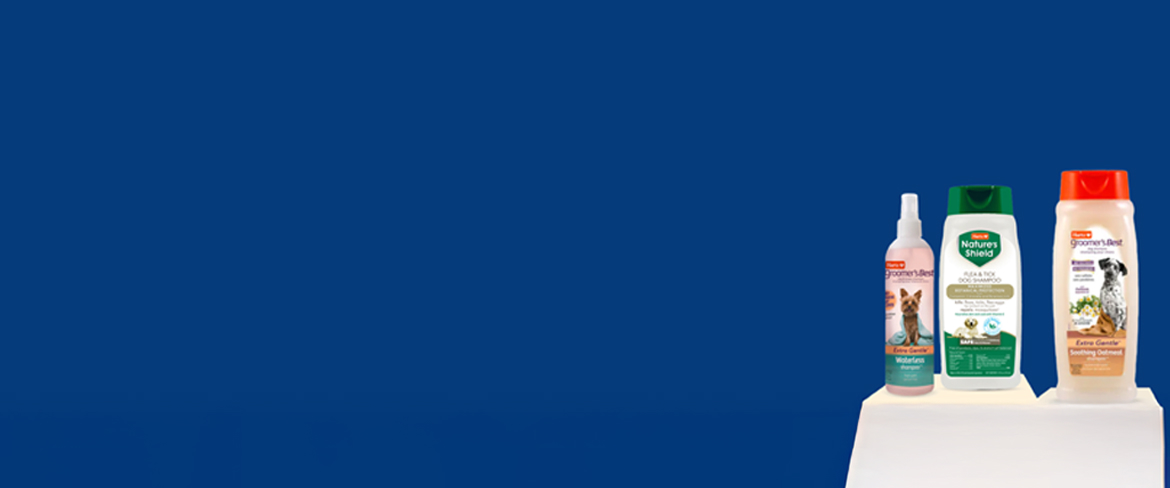 dog grooming essentials in uae