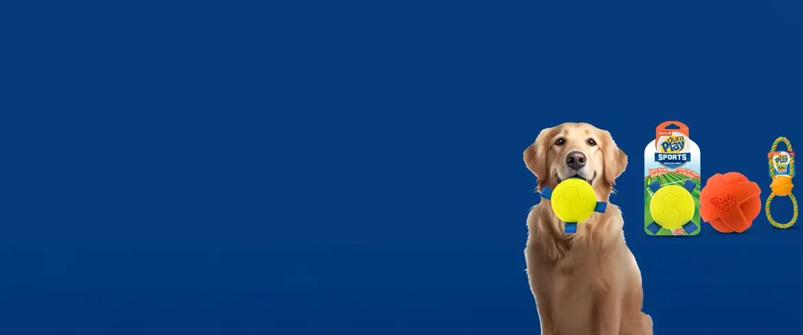 top-rated dog toys in czech republic
