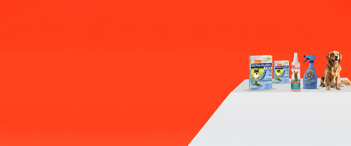 effective flea and tick control in uae