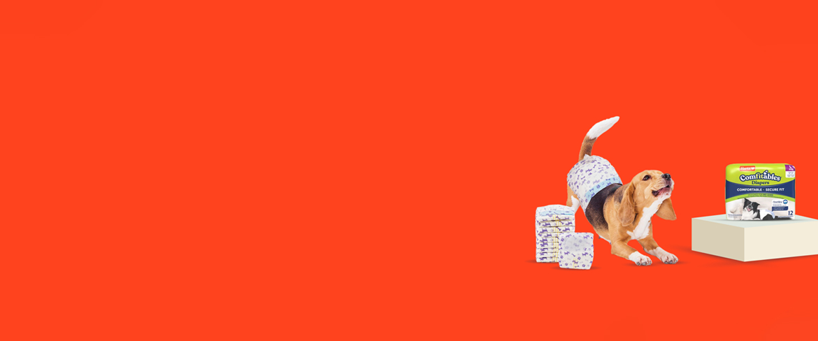 get dog diapers in uae