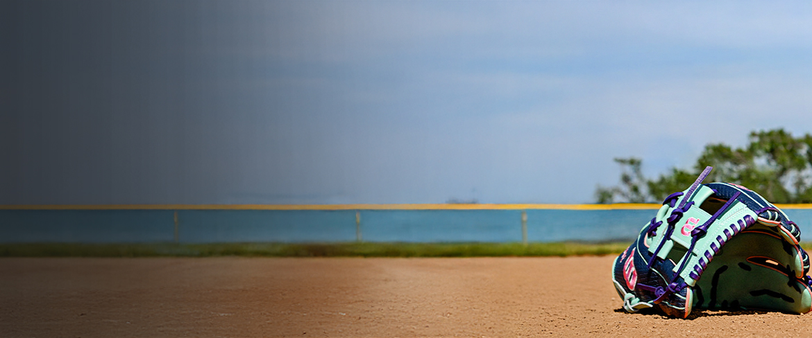 championship baseball gear in mauritius