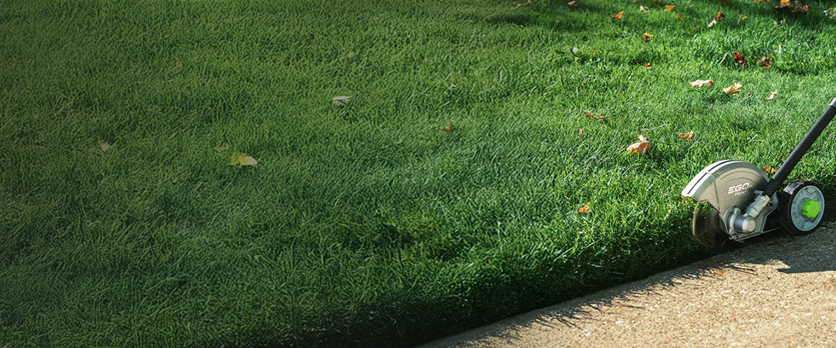 defined edges with power edgers in south africa