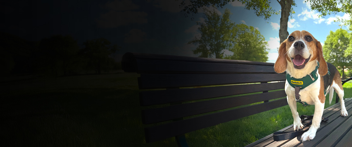 petsafe – happy pet, happy home