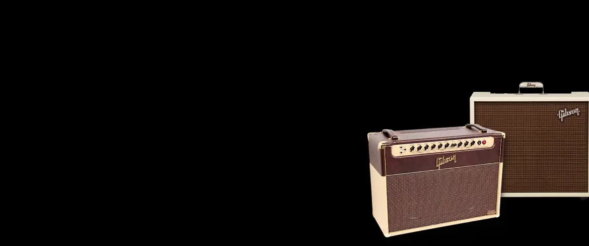 gig-ready amplifier combos in czech republic