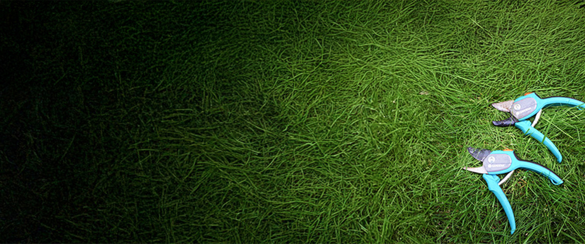 precision hand loppers in hong kong