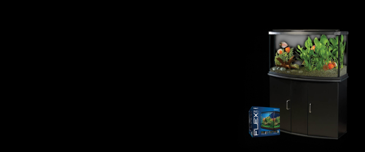 fluval: inspiring fishkeepers