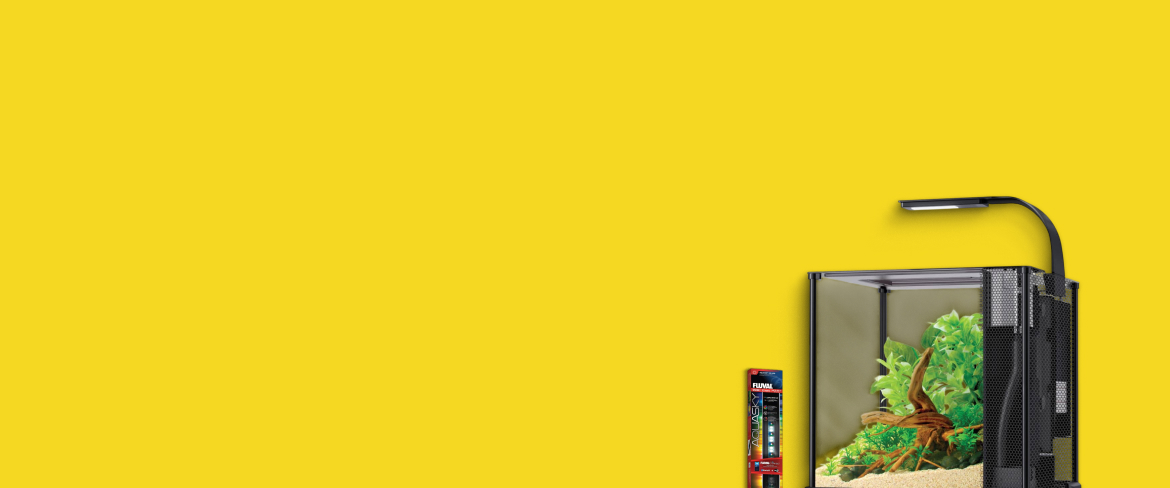 quality aquarium lights in republic of the congo