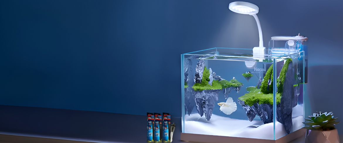 impressive aquarium heaters and chillers in republic of the congo