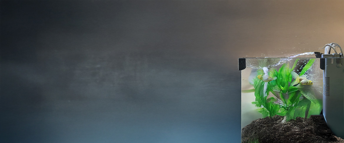 fast-fill air pumps in republic of the congo