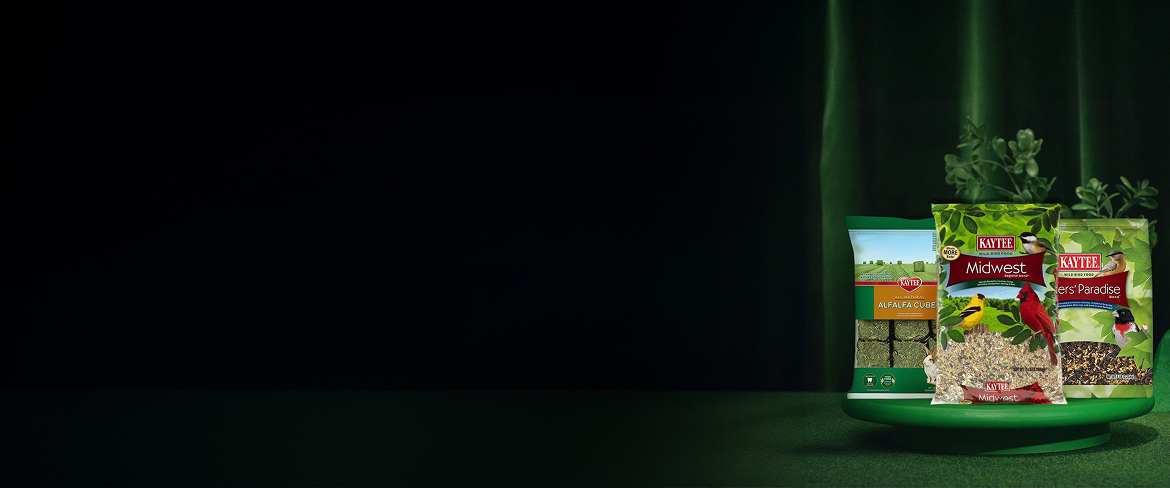 kaytee: for pets comfort and safety