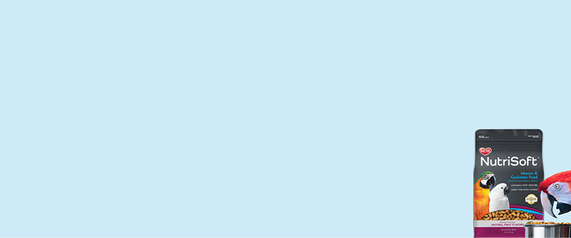 shop bird supplies in czech republic