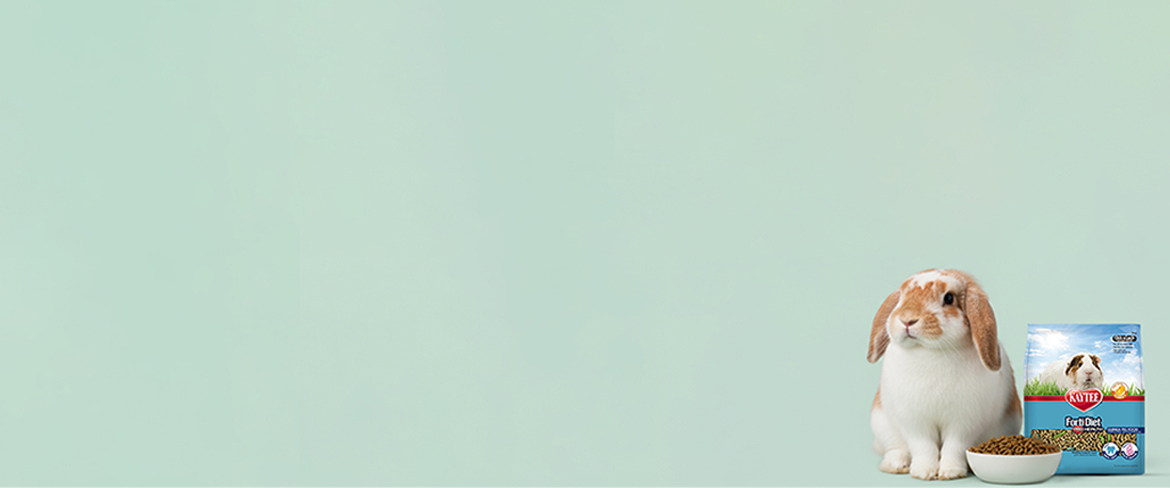 exclusive small animal supplies in czech republic