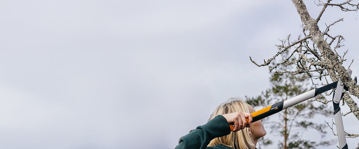 heavy-duty hand loppers in suriname