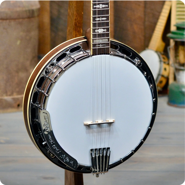 Banjo Musical Instrument