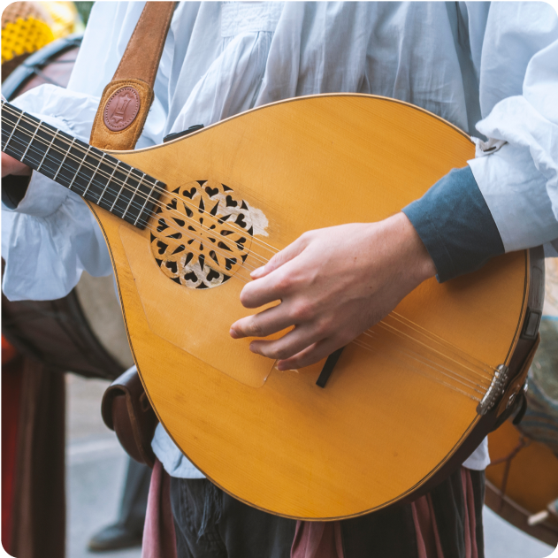 Mandolin Musical Instrument