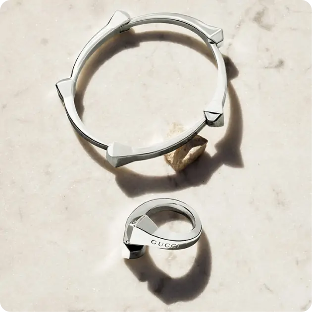 Gucci Fashion Accessories
