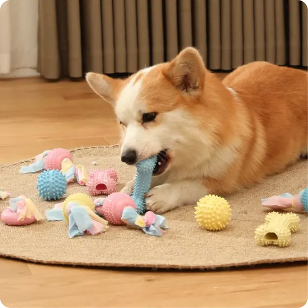 Hartz Dog Toys