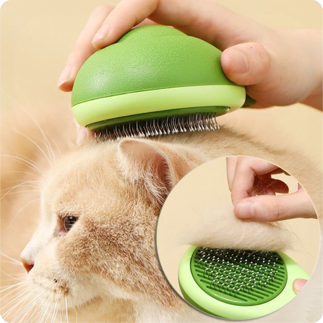 Cat Grooming Supplies
