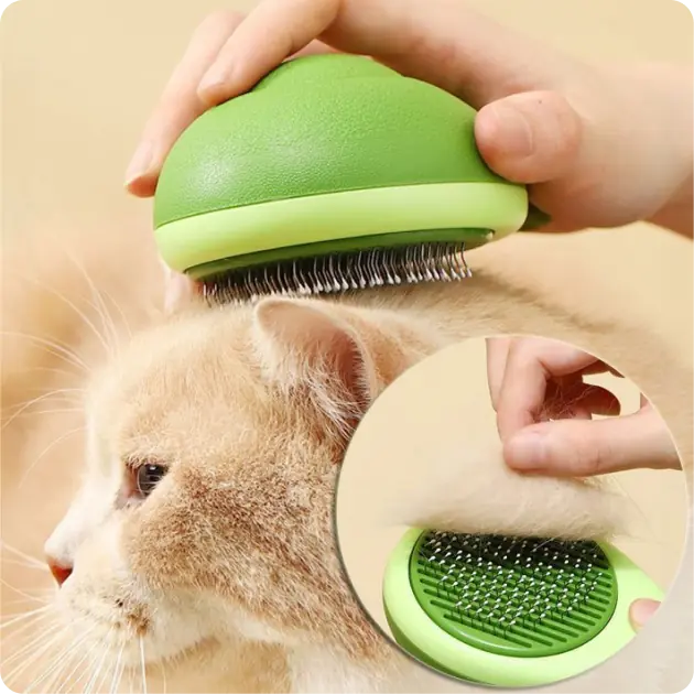 Cat Grooming Supplies