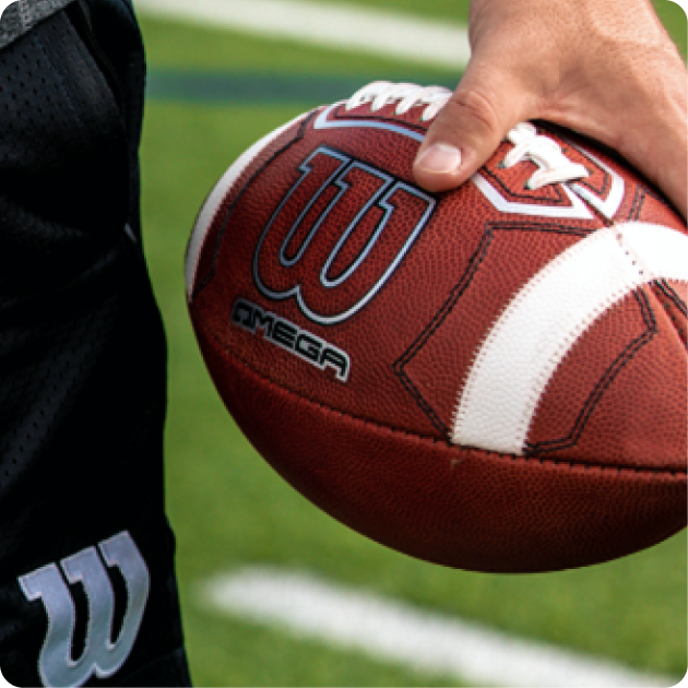 Wilson Football