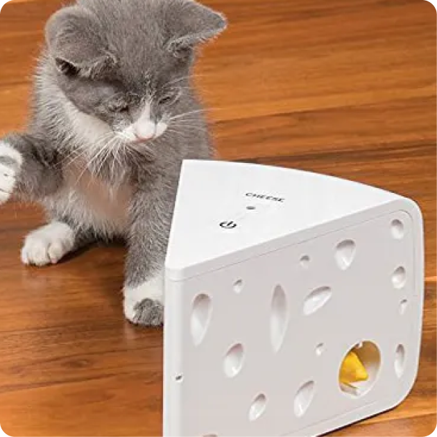 PetSafe Products for Cats