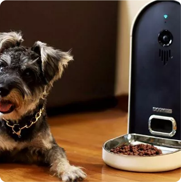 Dog Automatic Feeders