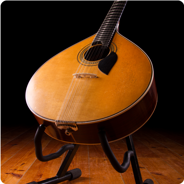 Stringed Musical Instruments