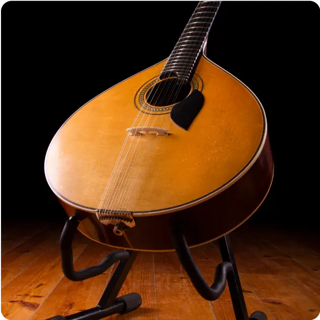 Stringed Musical Instruments