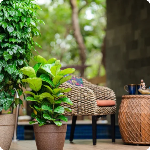 Gardening Pots and Accessories