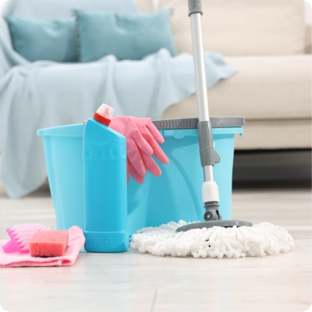 Household Cleaning