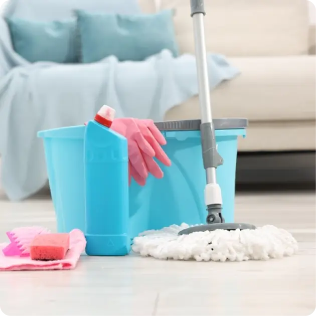 Household Cleaning