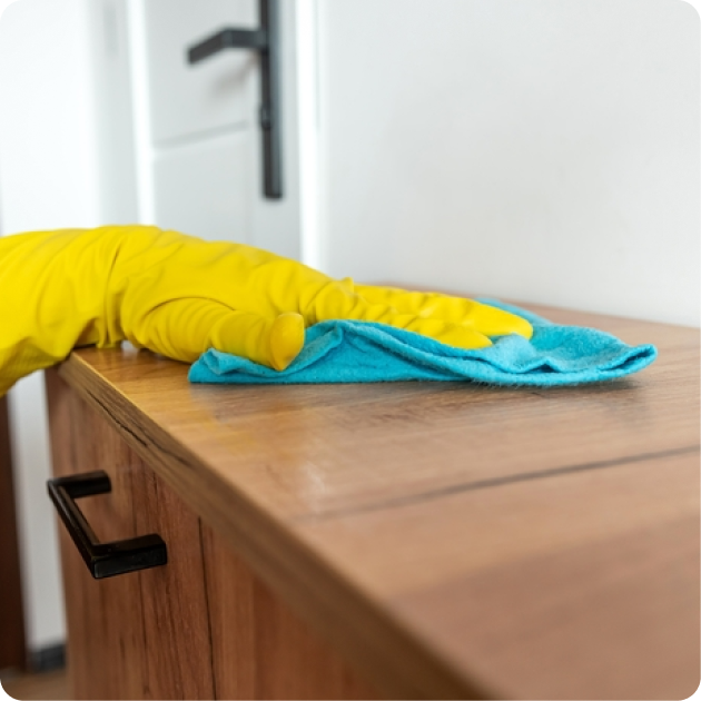 Household Cleaning Gloves