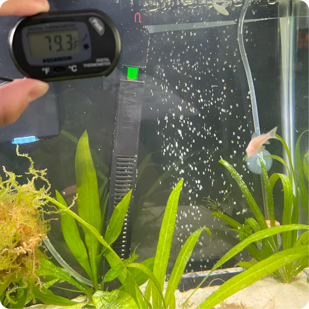 Fluval Aquarium Heaters and Chillers