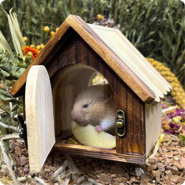 Small Animal Habitats