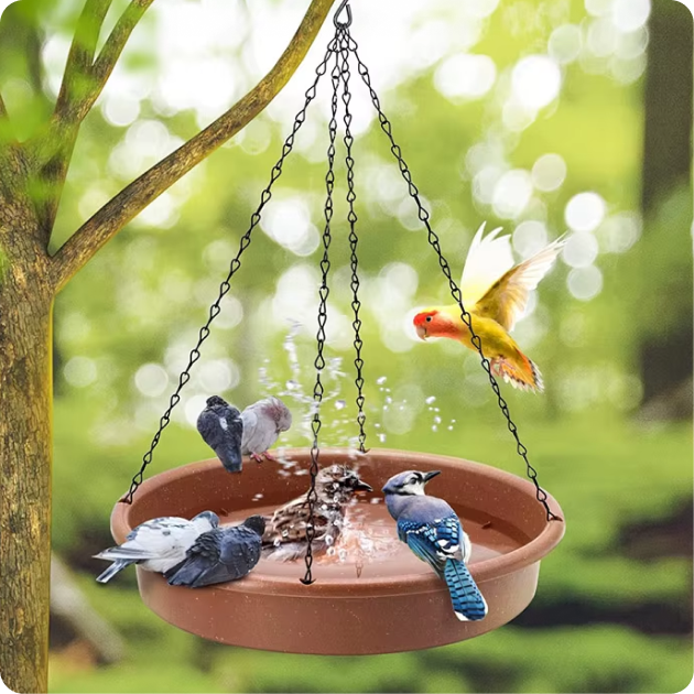 Bird Feeding and Watering Supplies