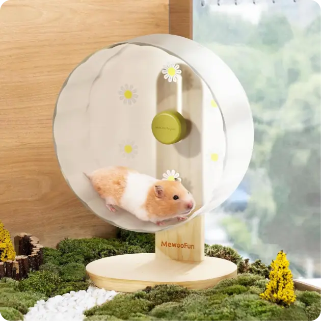 Small Animal Exercise Wheels