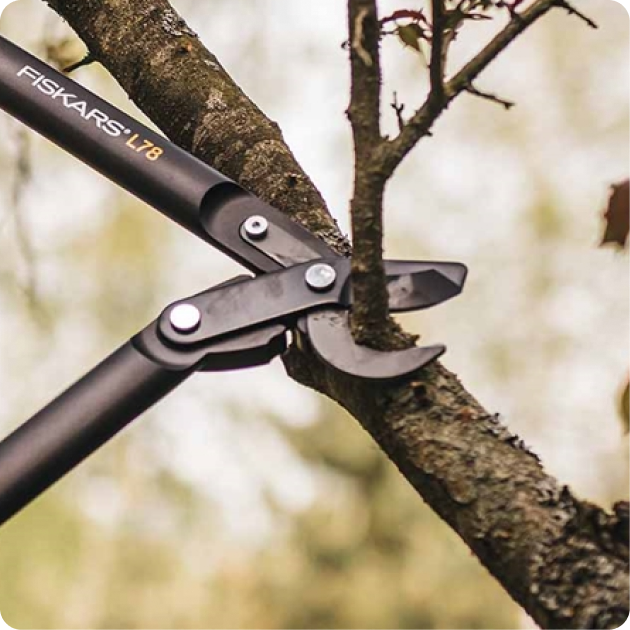 Fiskars Hand Loppers