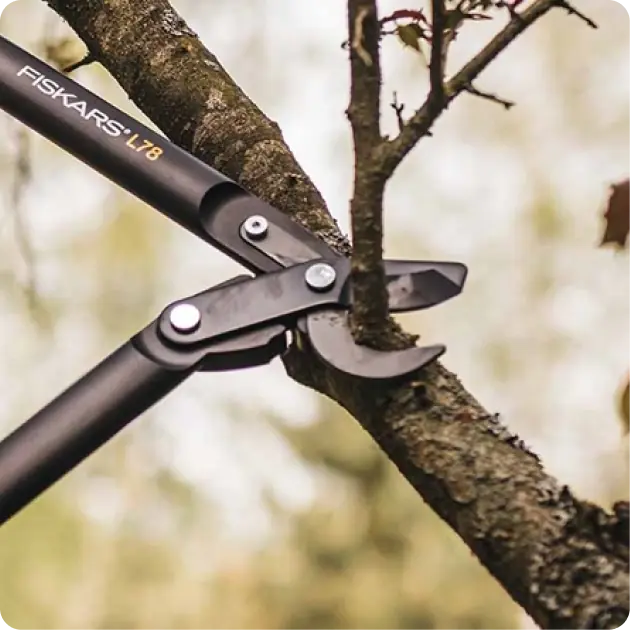 Fiskars Hand Loppers