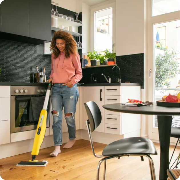 Household Kitchen Cleaners