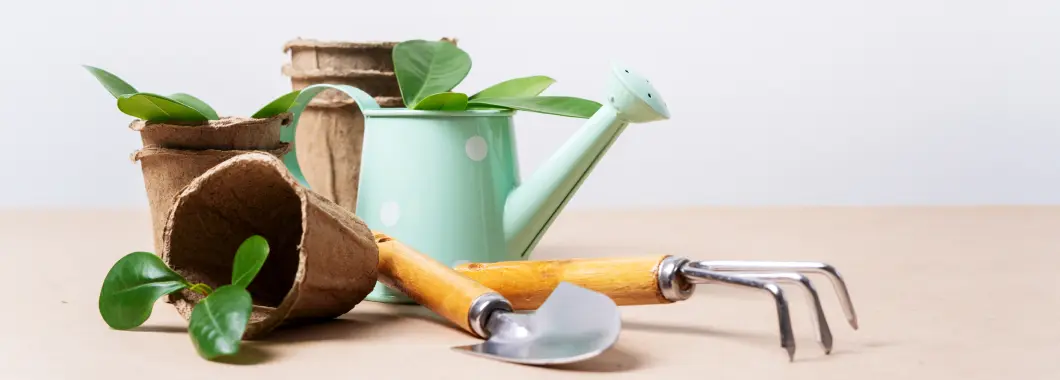 Buy Create a Lush Green Space! online