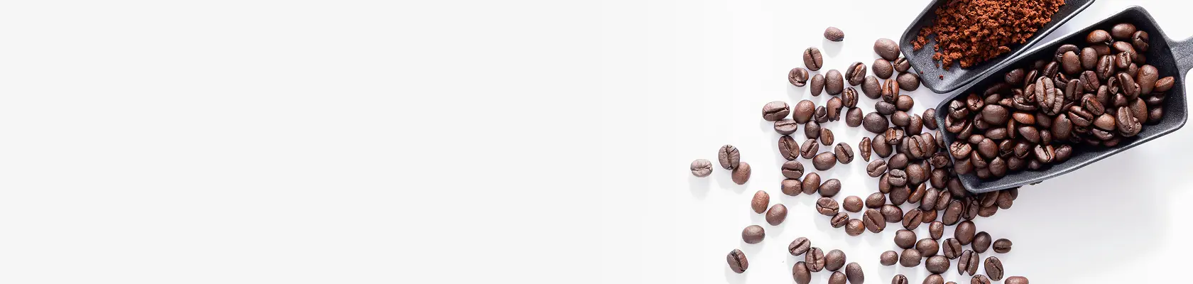 Buy Brew Global Flavours online