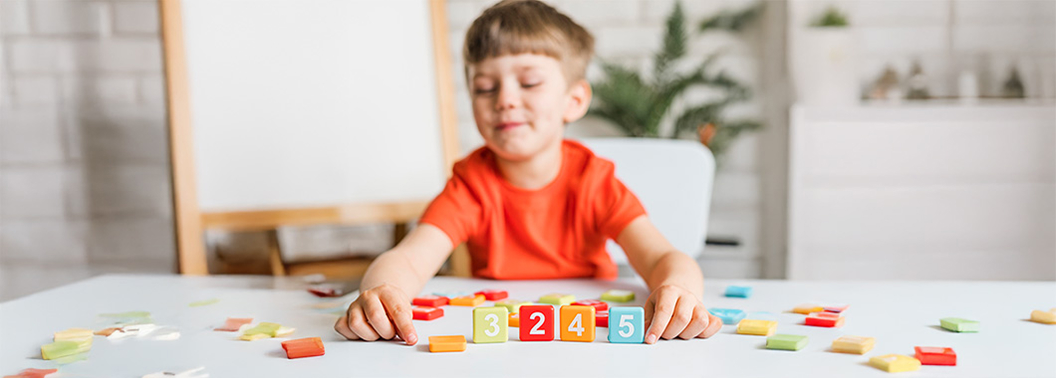 Buy Where Fun Meets Brainpower online