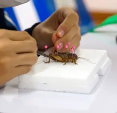 Buy Science Classroom Specimens online