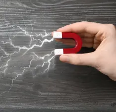 Buy Science Education Magnets online