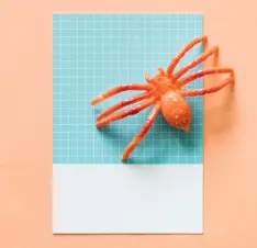 Buy Science Education Insect Kits online