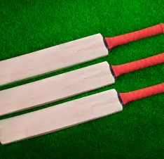 Buy Cricket Bats online