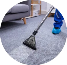 Household Carpet Cleaners